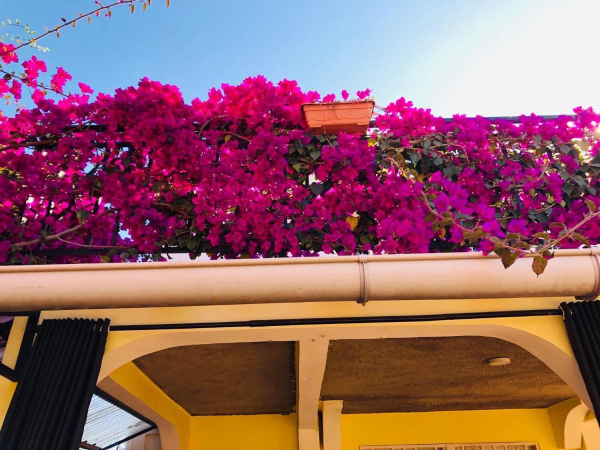 Petite Flower Guest House Talata-maty 외부 사진